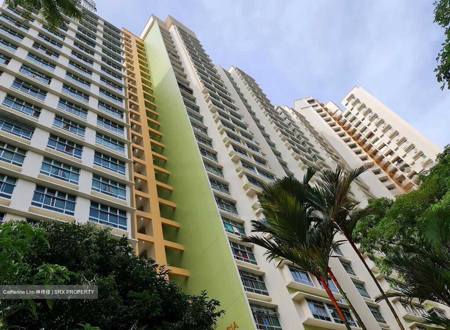 Blk 61C Strathmore Green (Queenstown), HDB 4 Rooms #449662201